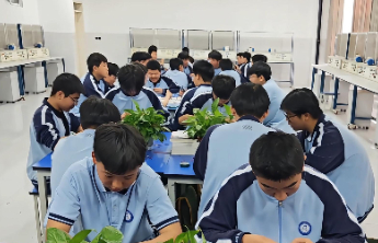 一根电线万般可能！滨州市技师学院学子在实操中锤炼本领