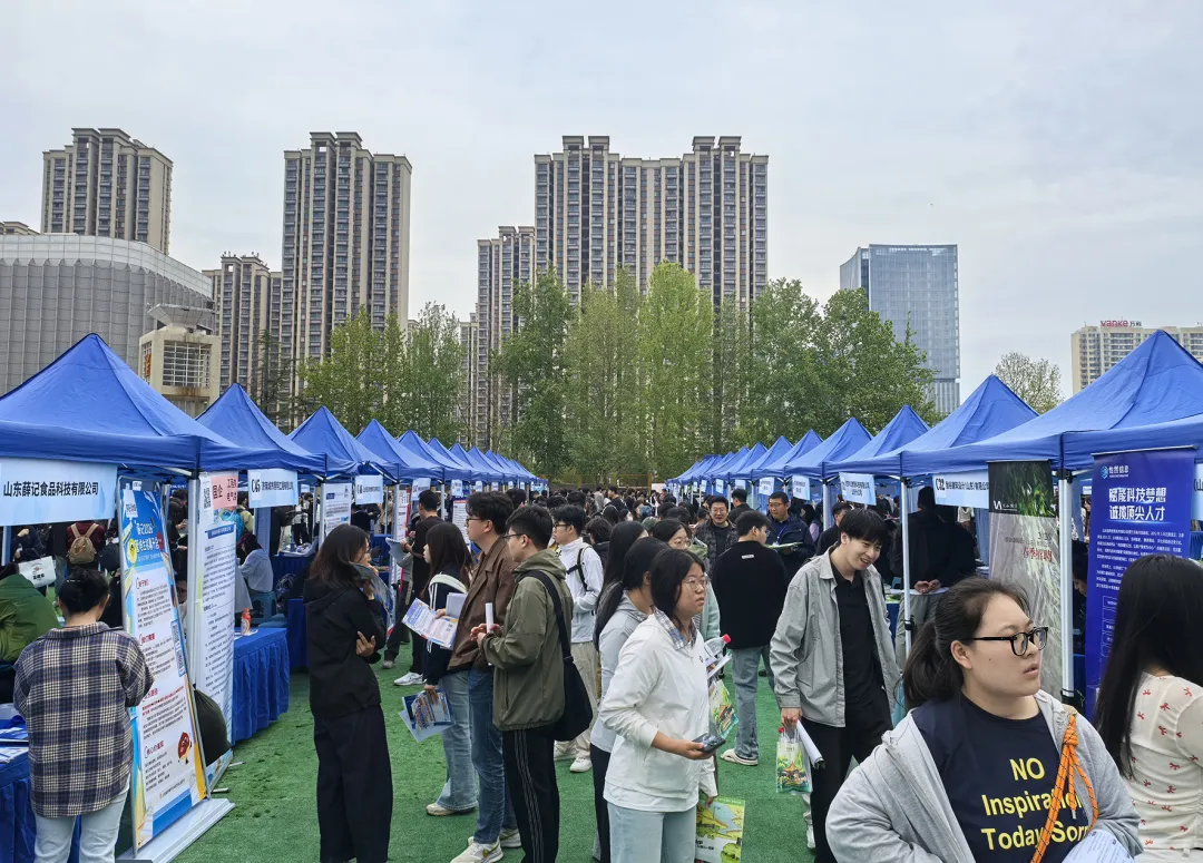 才聚泉城！济南市市中区组织300余个优质岗位走进山东建筑大学