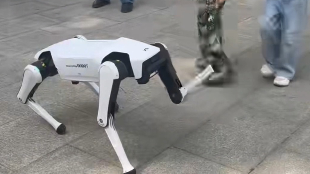 果然视频|山东大学“大学节”上来了一群机器人