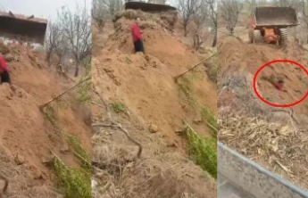 土地纠纷演变为铲车埋人，焦点别只盯着“原村支书”身份