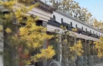 吉林派出工作组核查督办“生态园变豪华住宅式墓地，售价200万”：涉及失职渎职相关公职人员已被问责