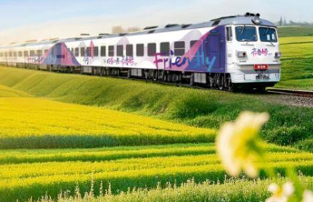 专题丨来山东过五一，路畅景美满心怡