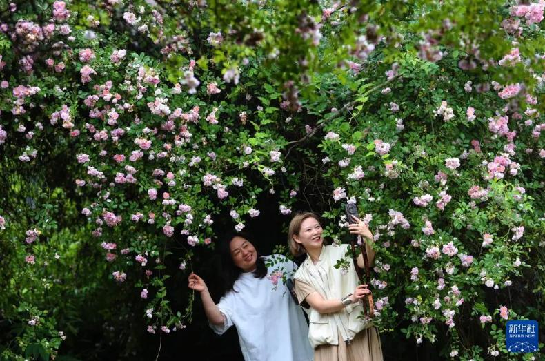 图片加载失败