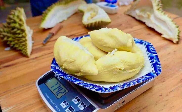 图片加载失败