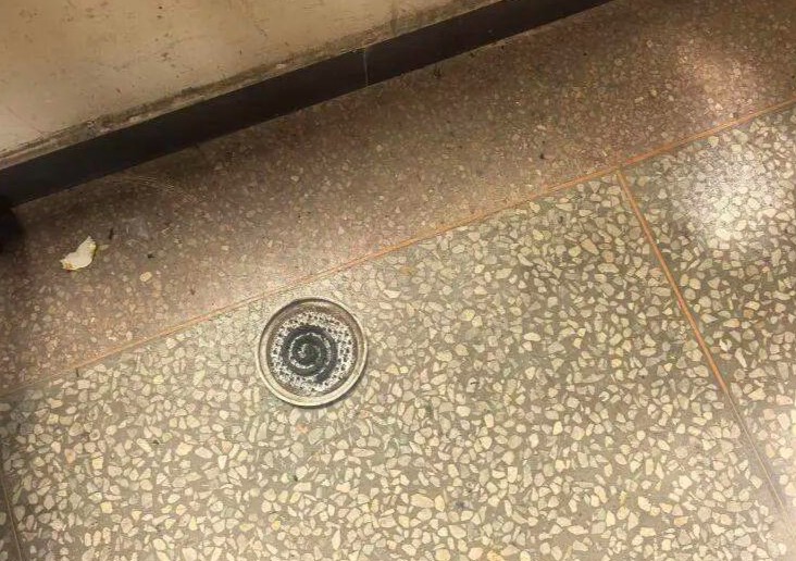 图片加载失败