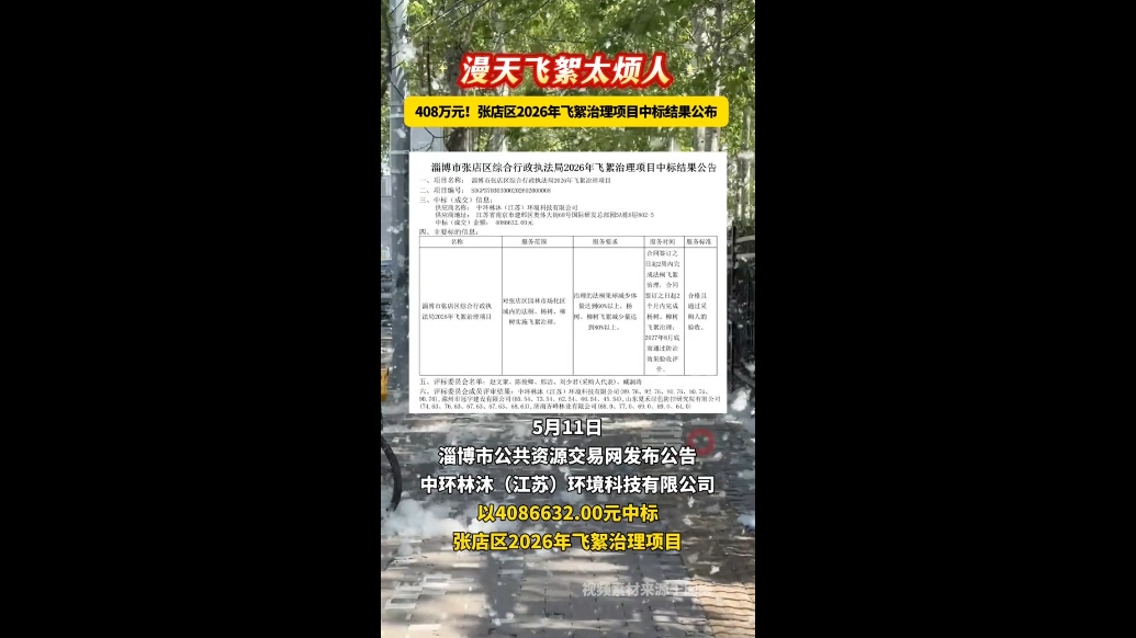 408万元！张店区2026年飞絮治理项目中标结果公布