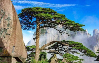 黄山风景区将于5月18日至20日实行门票半价优惠政策