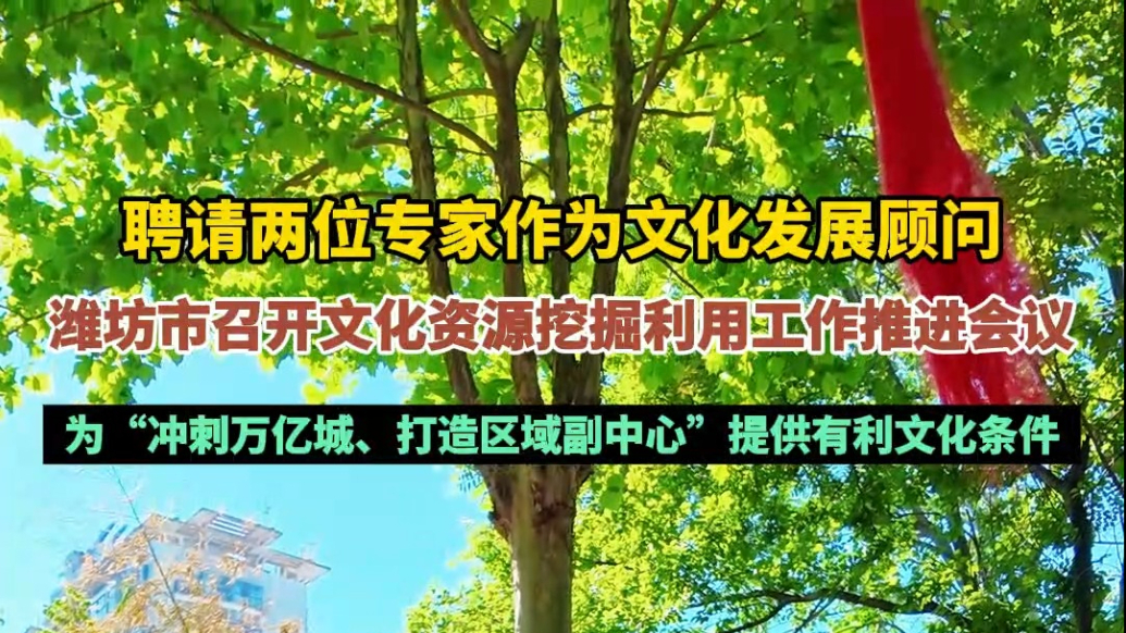果然视频|专业文化发展顾问“上线”，潍坊召开相关工作会议
