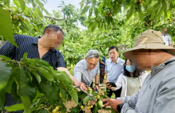 服务“三农”保民生，科技赋能树标杆——山东人保财险高效应对五月强对流天气灾害