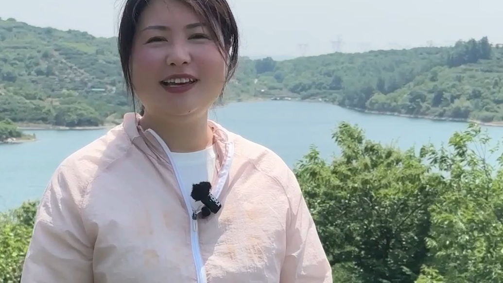 果然视频｜北纬37度烟台藏着露天茶园，维度高海拔低芽肥壮