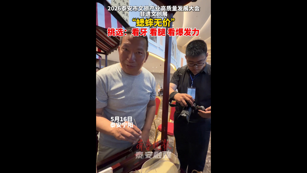 果然视频｜2026泰安市文旅产业高质量发展大会非遗文创展，“蟋蟀无价”，挑选：看牙、看腿、看爆发力
