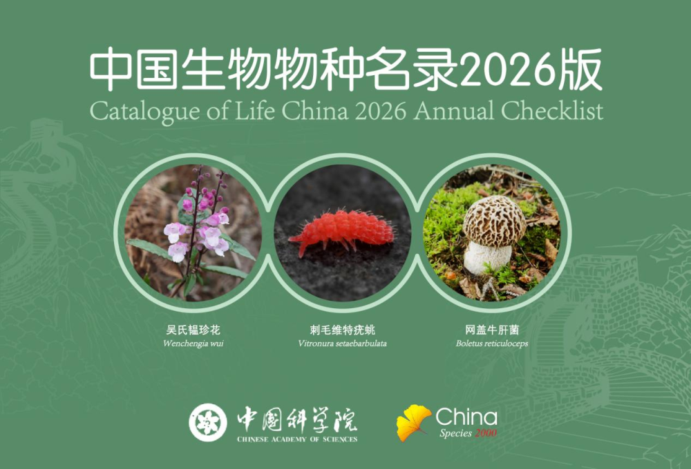 图片加载失败