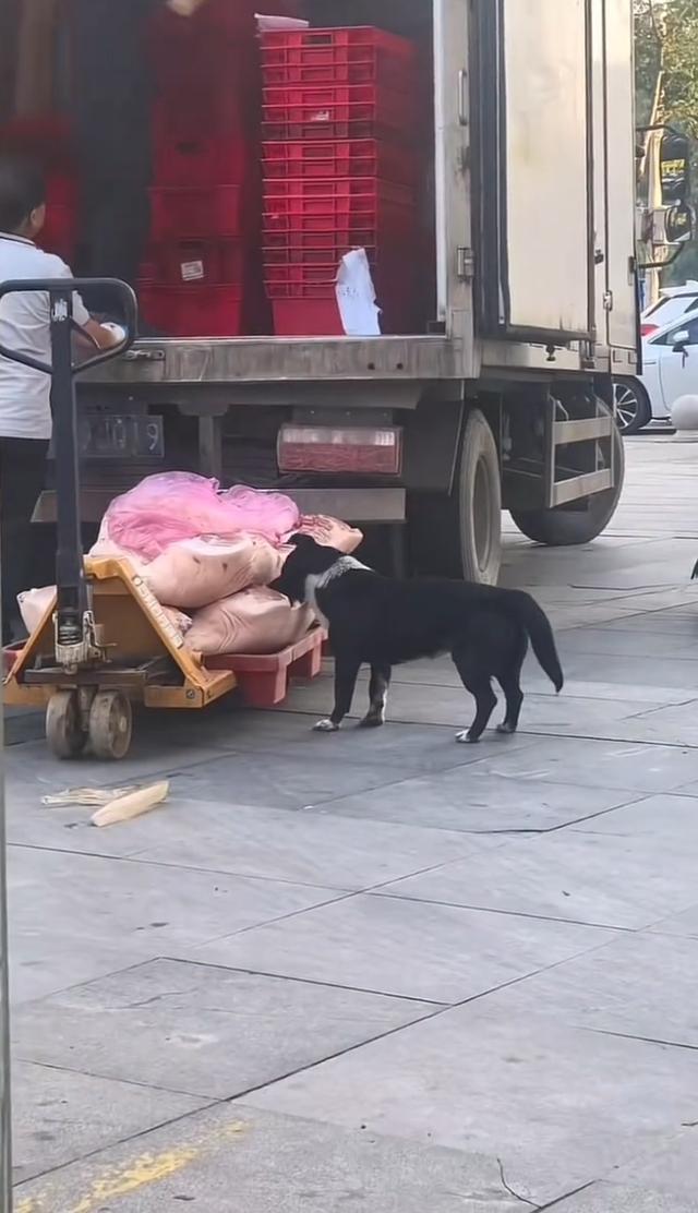 图片加载失败