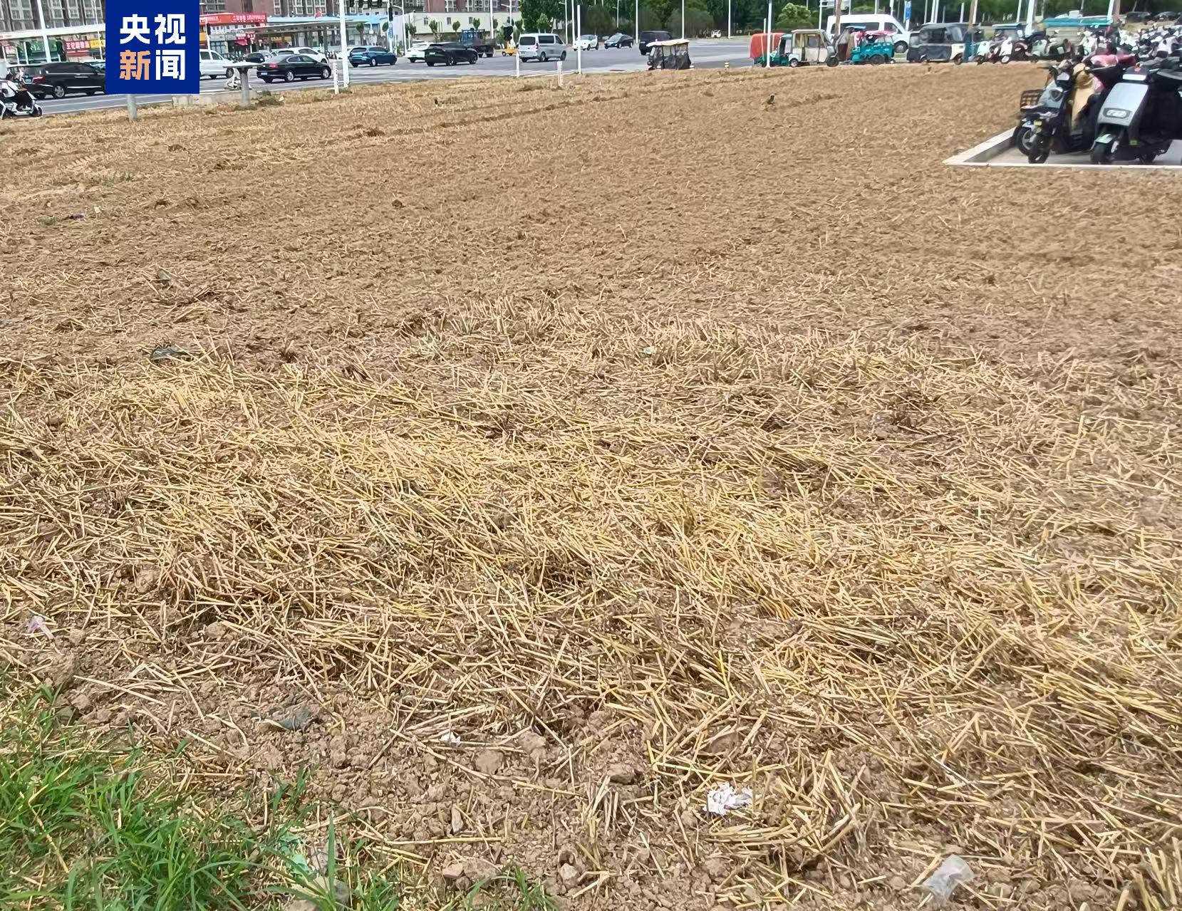 图片加载失败