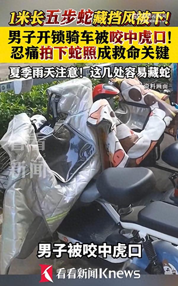 图片加载失败