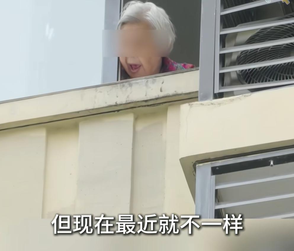 图片加载失败