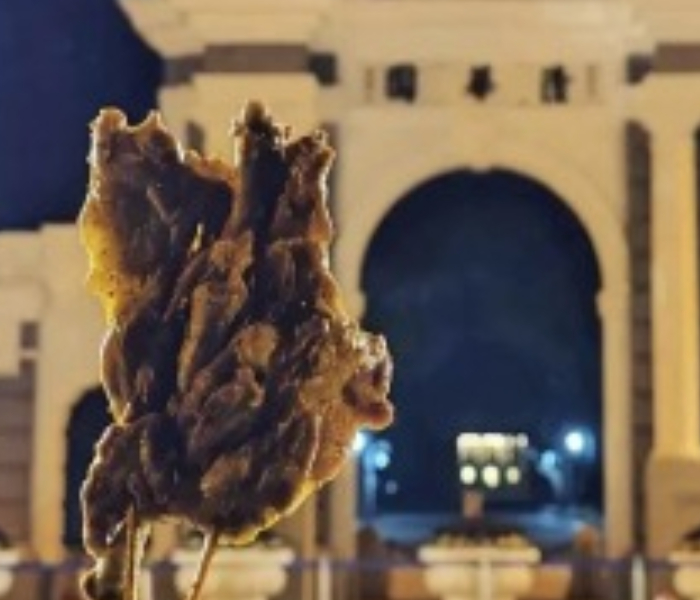 近日，因在北大等高校附近摆摊走红的“鹅腿阿姨”，在一个团购群内发布公告称因被举报，正在配合相关部门工作，相关话题引发网友关注。