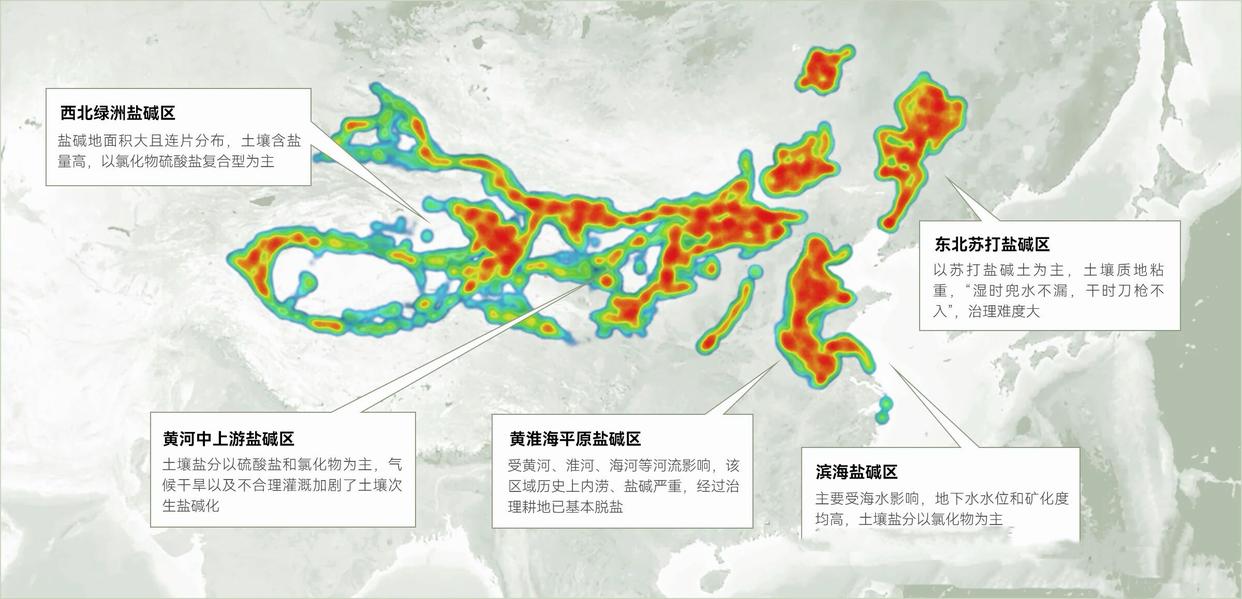 图片加载失败
