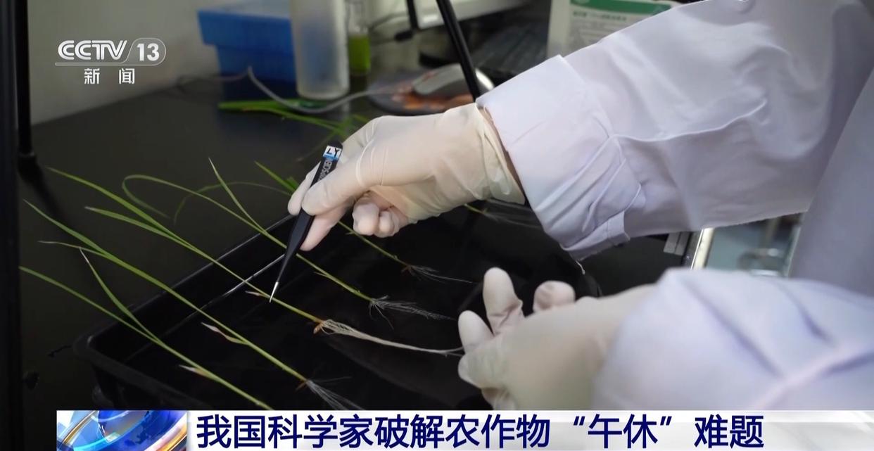 图片加载失败