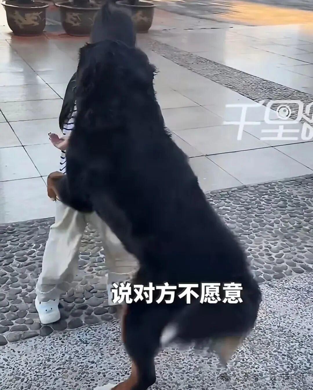 图片加载失败