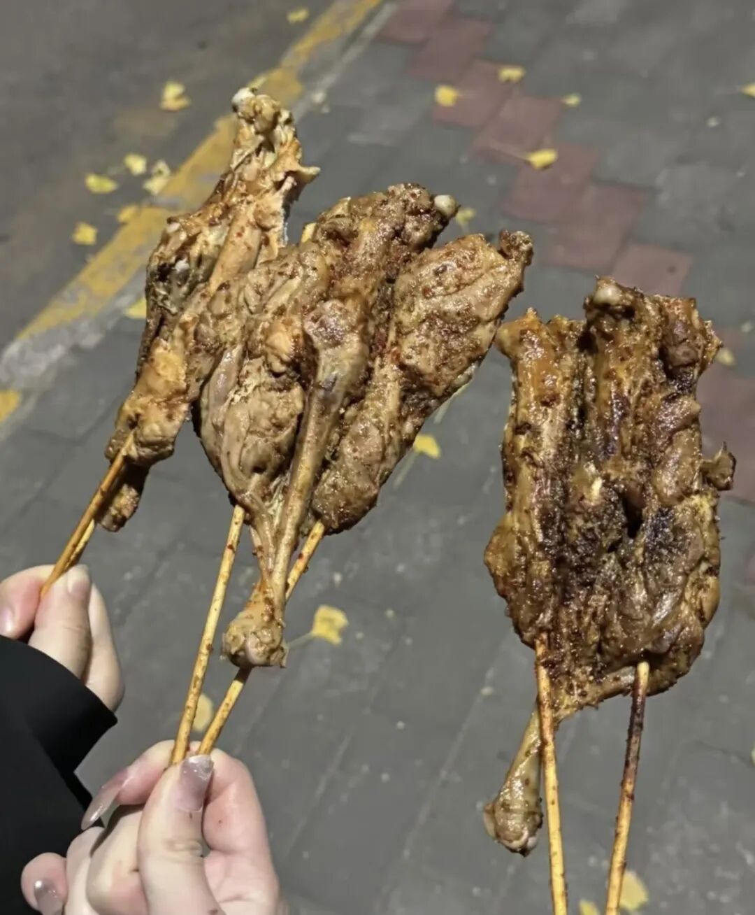 图片加载失败