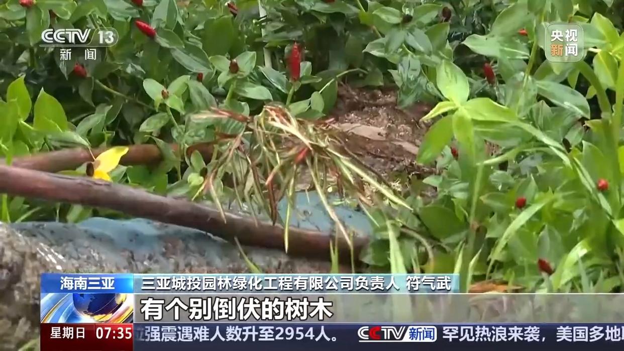 图片加载失败