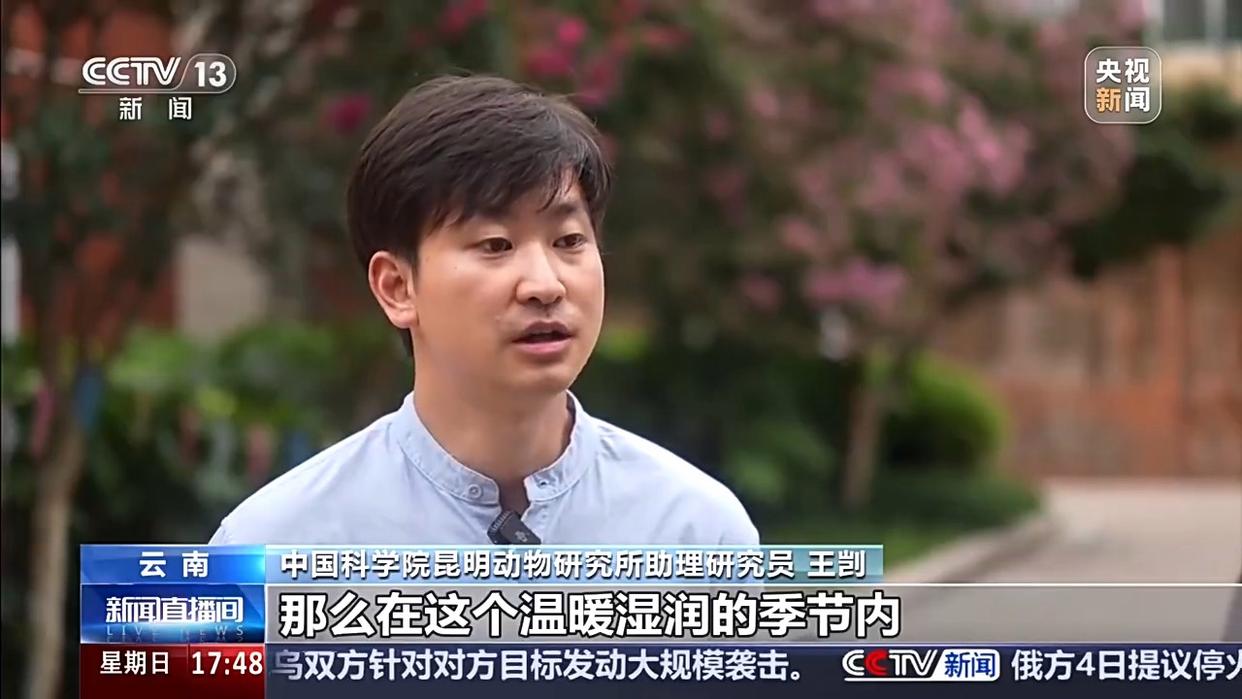 图片加载失败