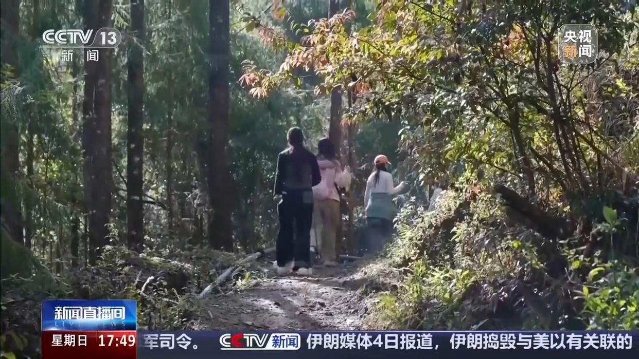 图片加载失败