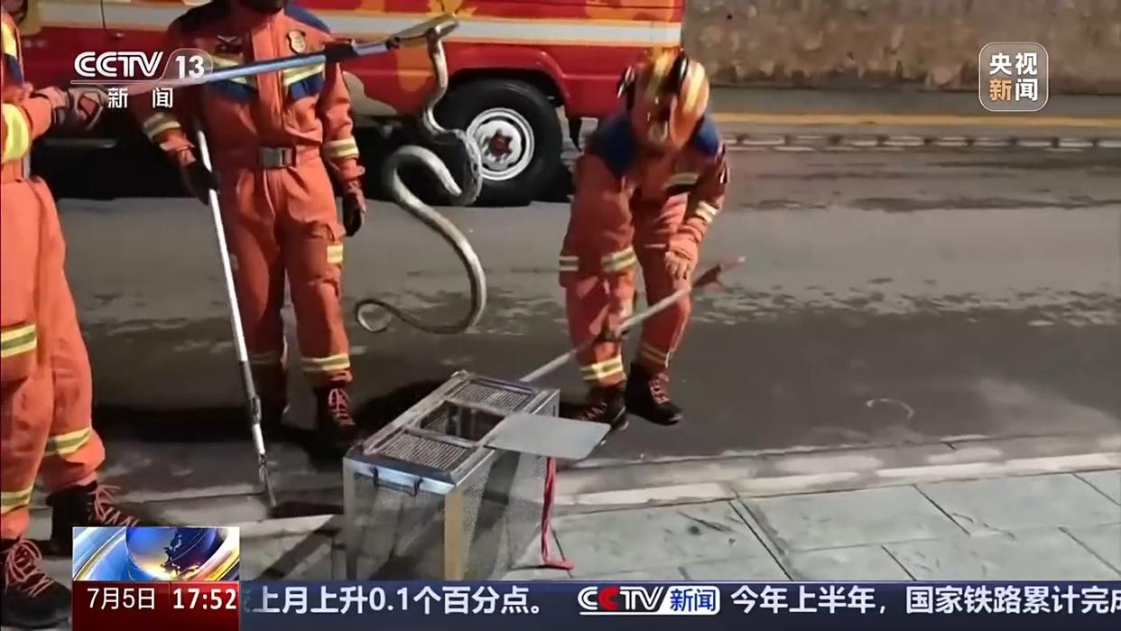图片加载失败
