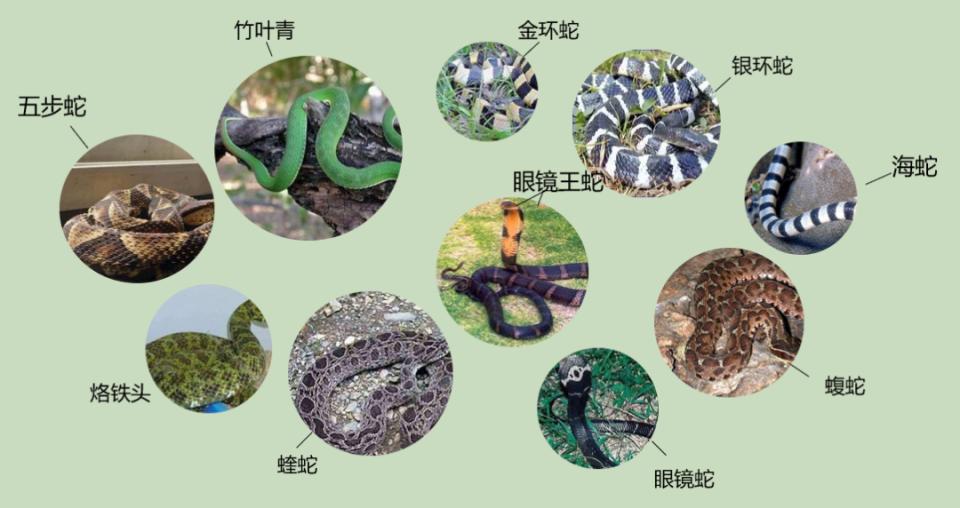 图片加载失败
