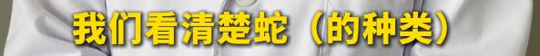 图片加载失败