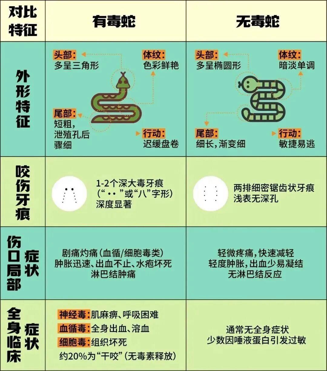 图片加载失败