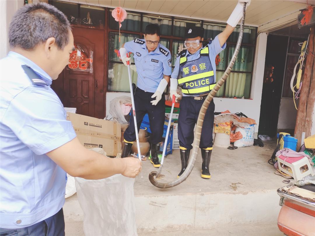 图片加载失败