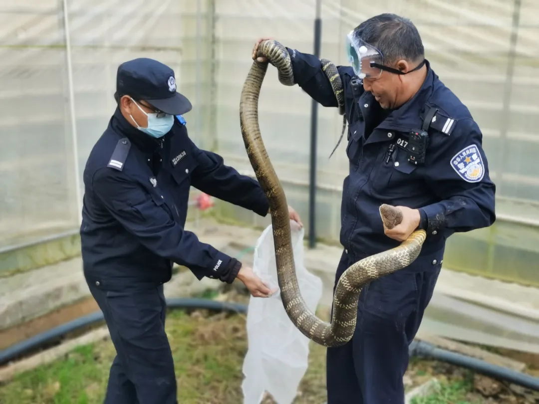图片加载失败