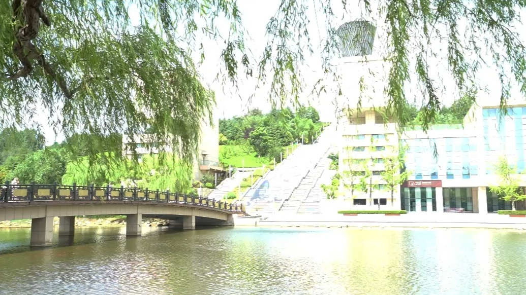 舞乐山海一起嗨！2026年烟台广场文化活动专题报道