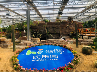 乡游齐鲁 休闲农业精品线路推介之日照亲子研学茶海之旅