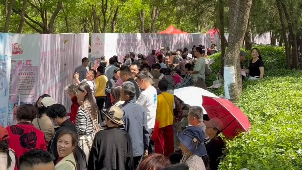 果然视频|给自己一个心动的机会！千佛山相亲大会报名进行中