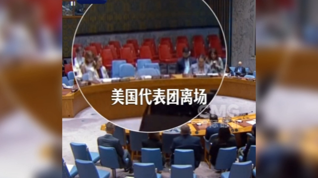 果然视频·看天下|安理会紧急会议上，美法“撕破脸”