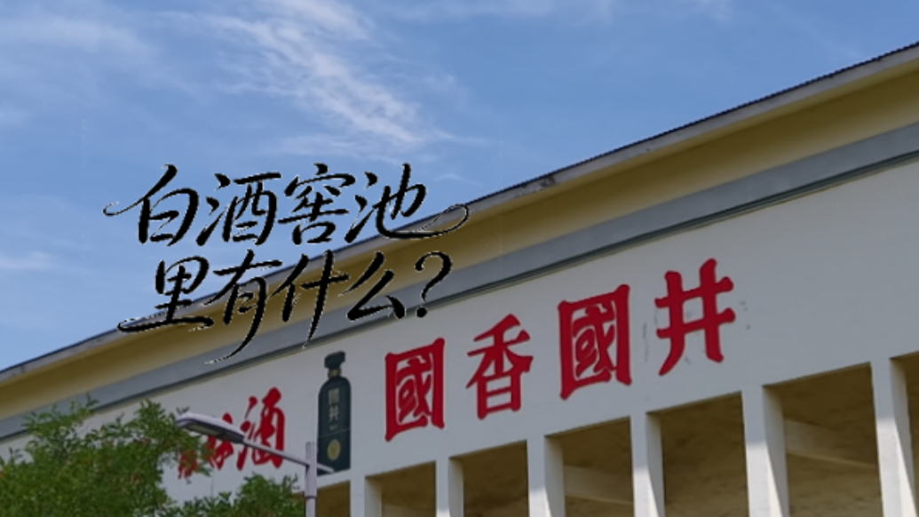 果然视频丨白酒窖池里有什么？