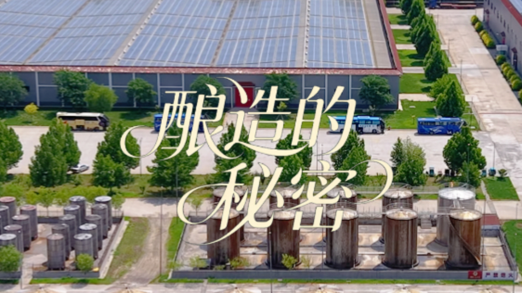 果然视频丨鲁井窖藏的酿造秘密