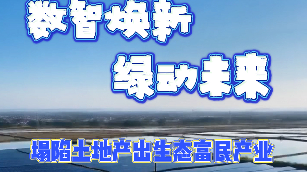 数智焕新绿动未来，枣庄让塌陷土地产出生态富民产业