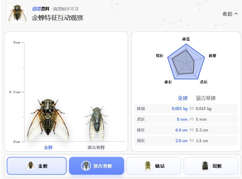 图片加载失败
