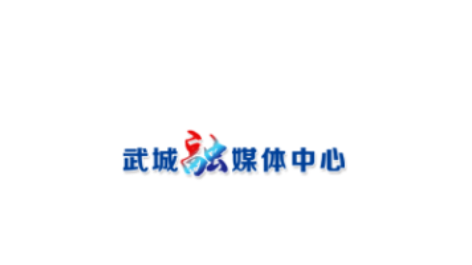 武城：创新驱动 激活高质量发展动力
