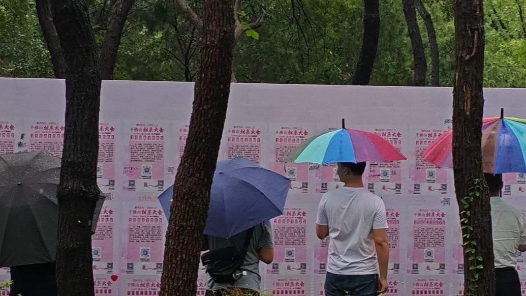果然视频|你的爱情剧本从七夕开始！千佛山相亲大会报名进行中