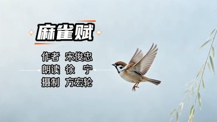 麻雀赋  作者/宋俊忠  朗读/徐宁  制作/方宏轮