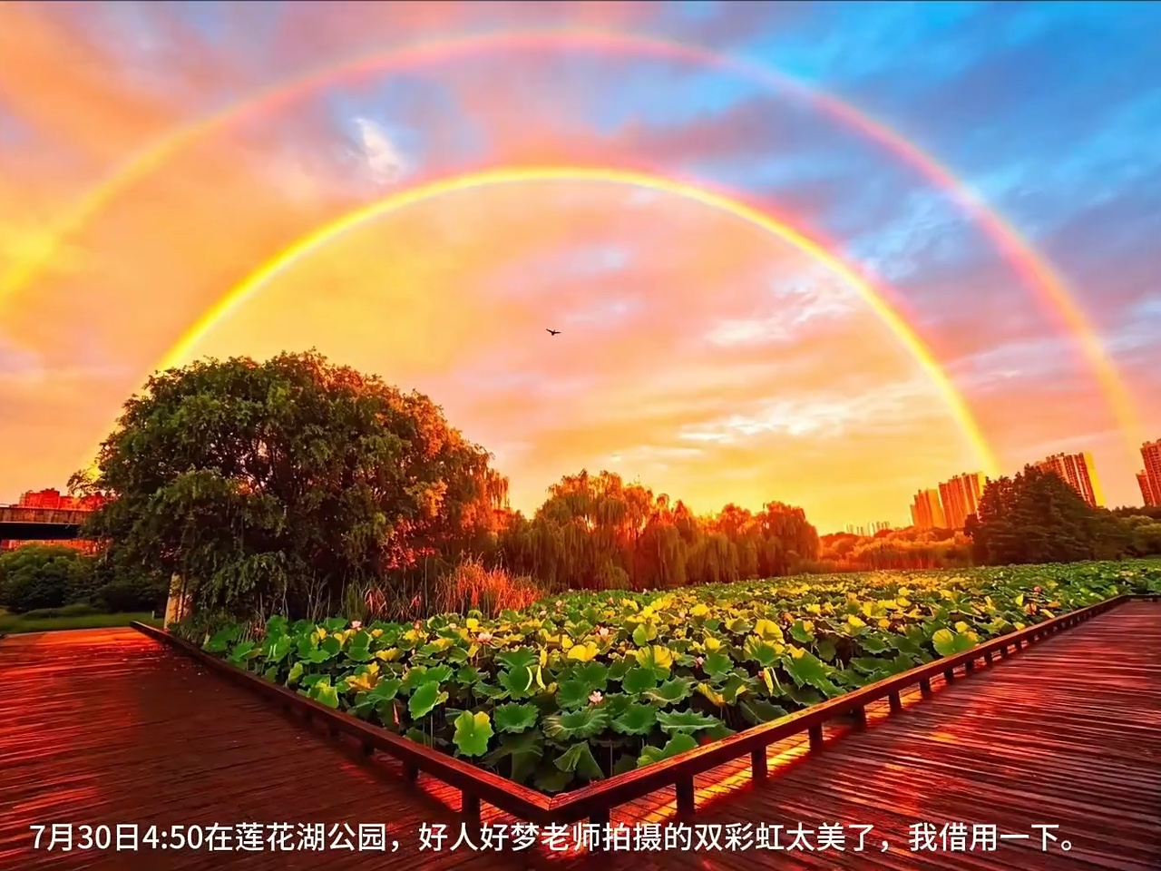 让人惊艳的双彩虹.摄影好人好梦老师在南京莲花湖公园