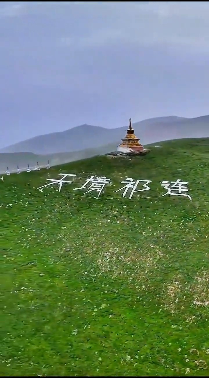 草原铺开，像大地轻轻舒展的绿绸，风一吹就起了温柔的浪
