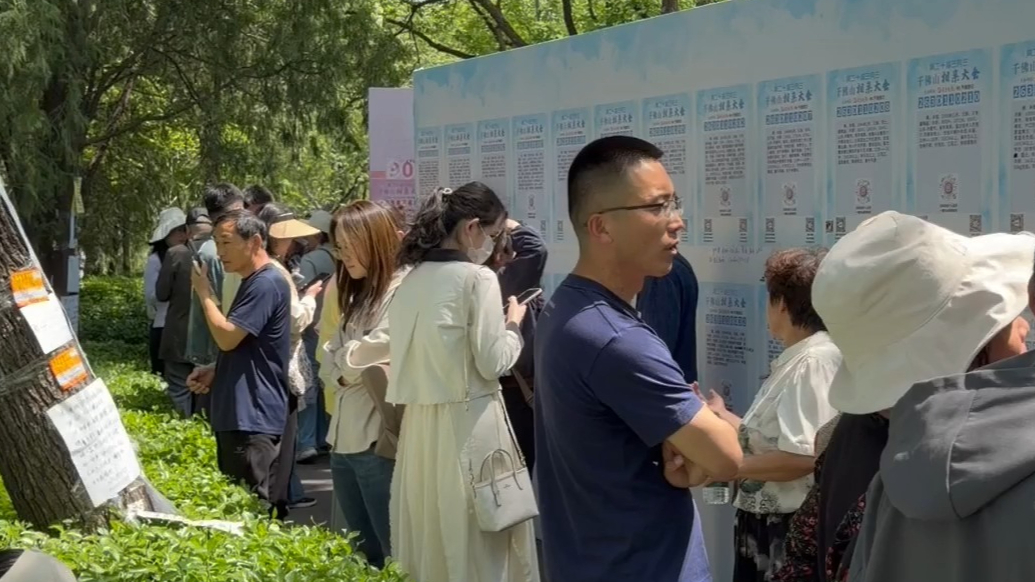 果然视频|这个七夕遇见同频的人！千佛山相亲大会报名火热进行中