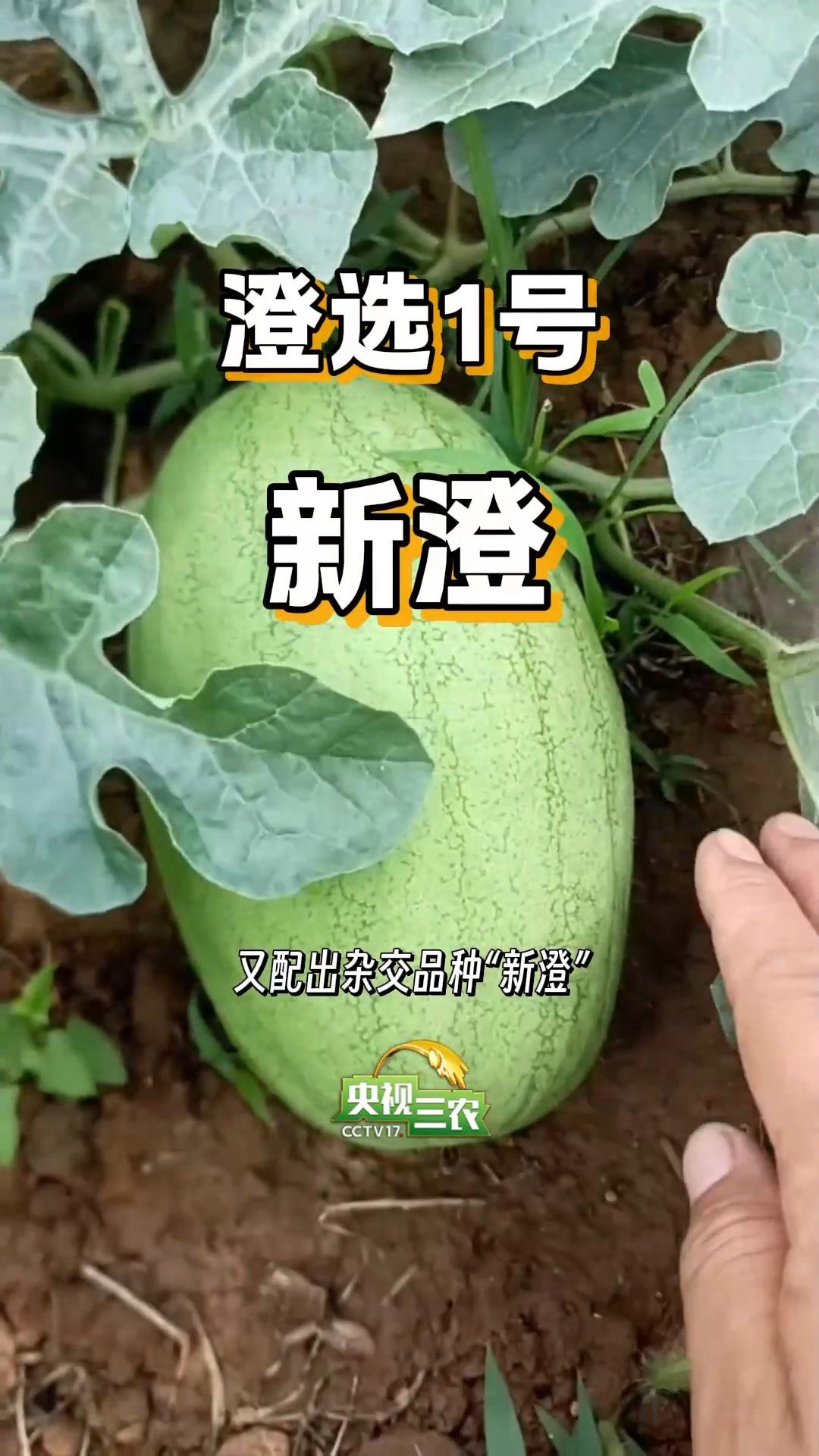 图片加载失败