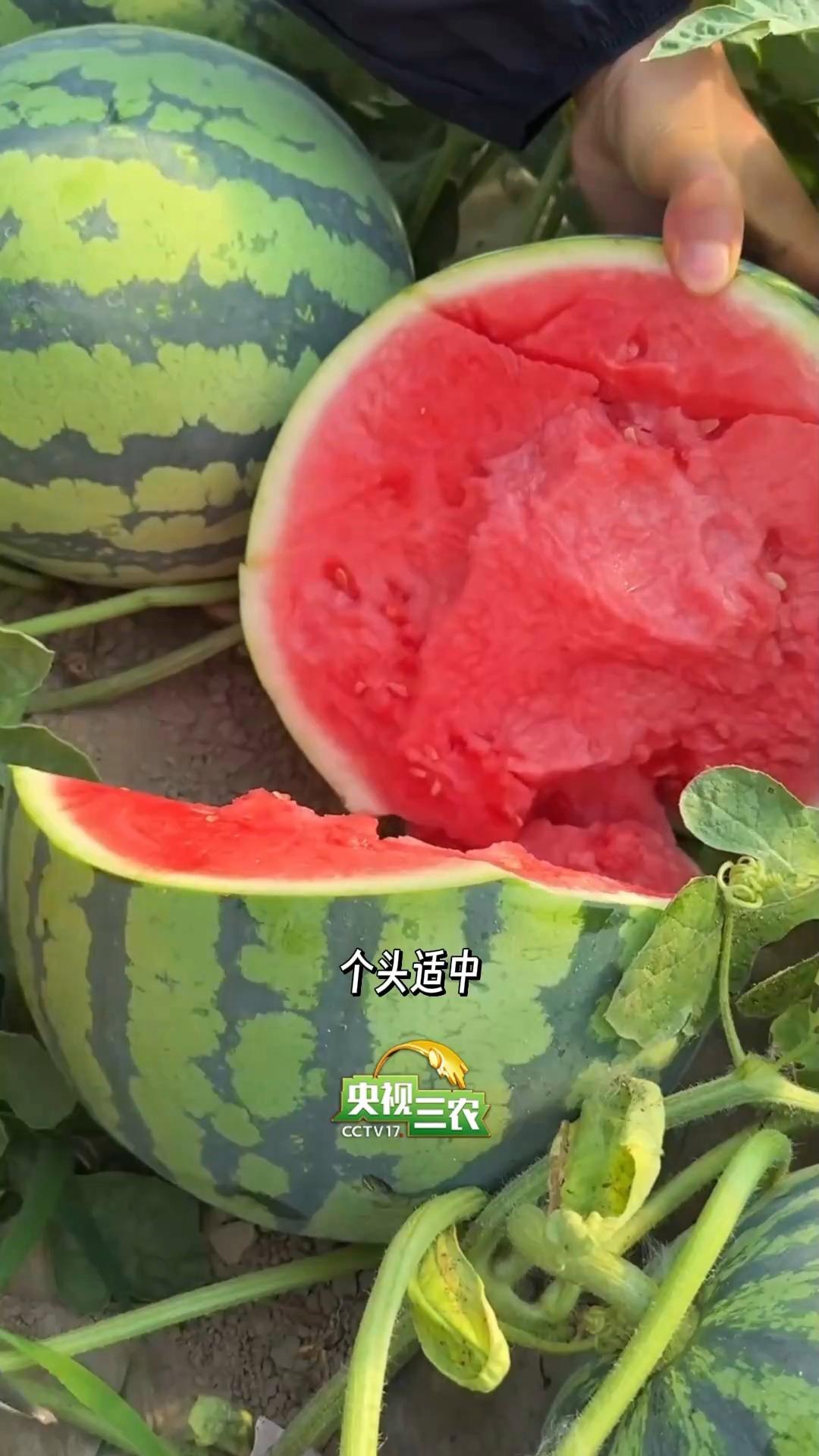 图片加载失败